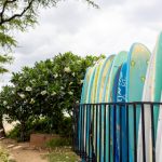 伊甸园第一季:探索人类起源与命运的奇幻旅程 dgbg6j1a